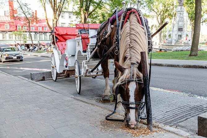 Quebec City Photo Tour - Good To Know  