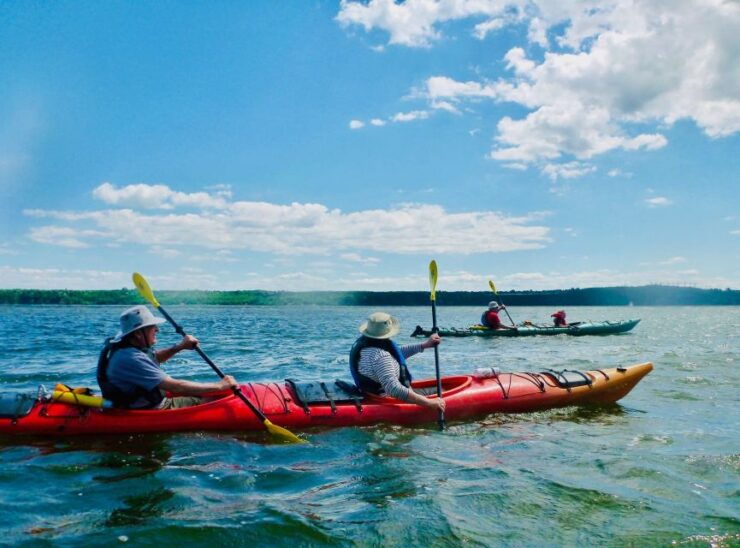 Quebec City: Sea-Kayaking Excursion - Booking Details