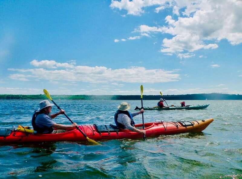 Quebec City: Sea-Kayaking Tour in Orleans Island - Pricing and Value