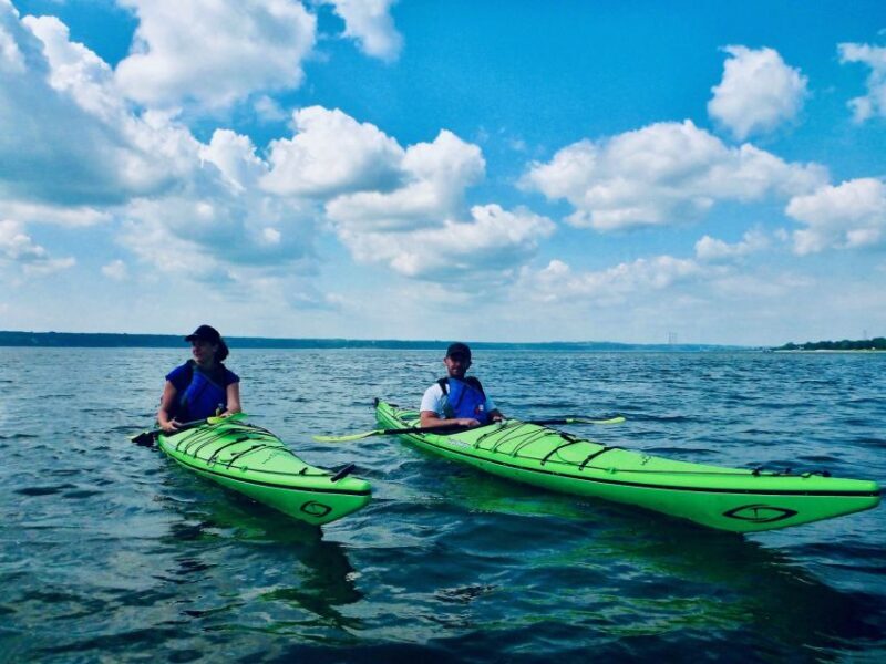 Quebec City: Sea-Kayaking Tour in Orleans Island - Who Would Enjoy This Tour?