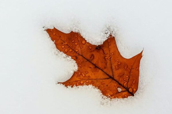 Quebec City: Sugar Shack Shuttle Transfer - Additional Information