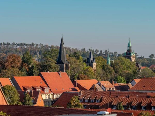 Quedlinburg: Guided City Walk - Highlights Tour (Private) - Weather and Path Conditions