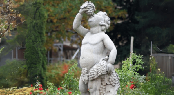 Quedlinburg UNESCO World Heritage Group Tour (private) - Recommended Culinary Spots