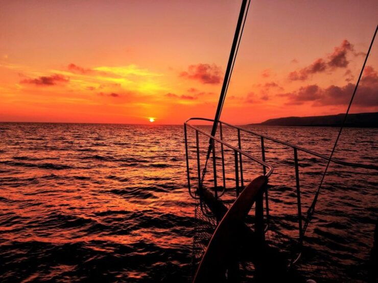 Queen Bee Sunset Cruise With Swim Stops and Dinner - Activity Details