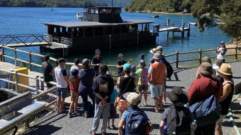 Queen Charlotte Sound: Lochmara Cruise and Explore 9-4 - Discover the Queen Charlotte Sound: Lochmara Cruise and Explore 9-4