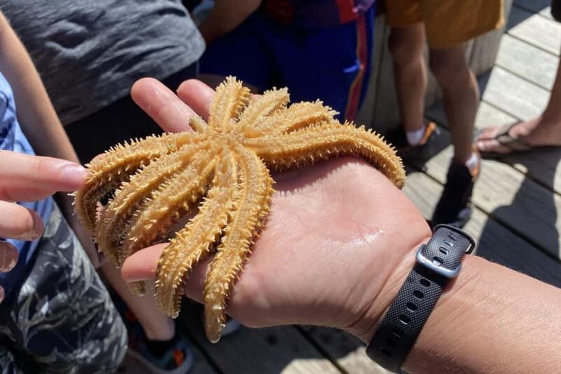Queen Charlotte Sound: Lochmara Cruise and Explore 9-4 - Is This Tour Worth It?
