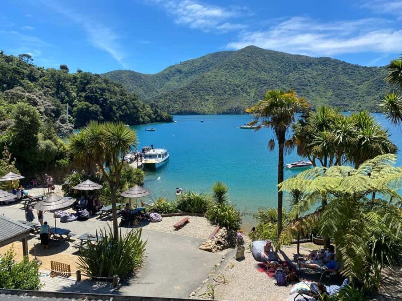 Queen Charlotte Sound: Lochmara Cruise & Explore 9-2.45 - The Journey to Lochmara