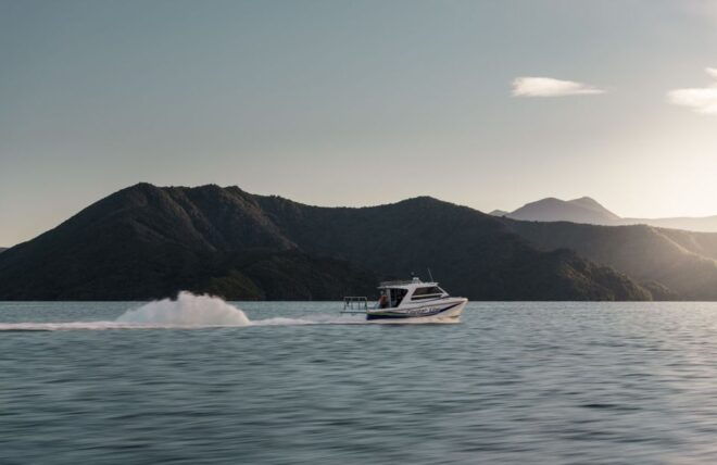 Queen Charlotte Sound: Scenic Cruise & Lunch - Similar Water Activities in Marlborough Sounds