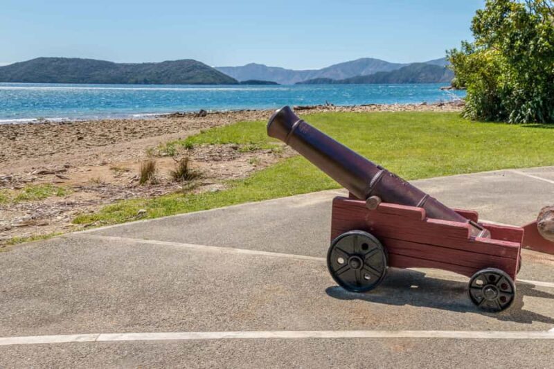 Queen Charlotte Track: Cruise & Self-Guided Hike from Picton - Good To Know