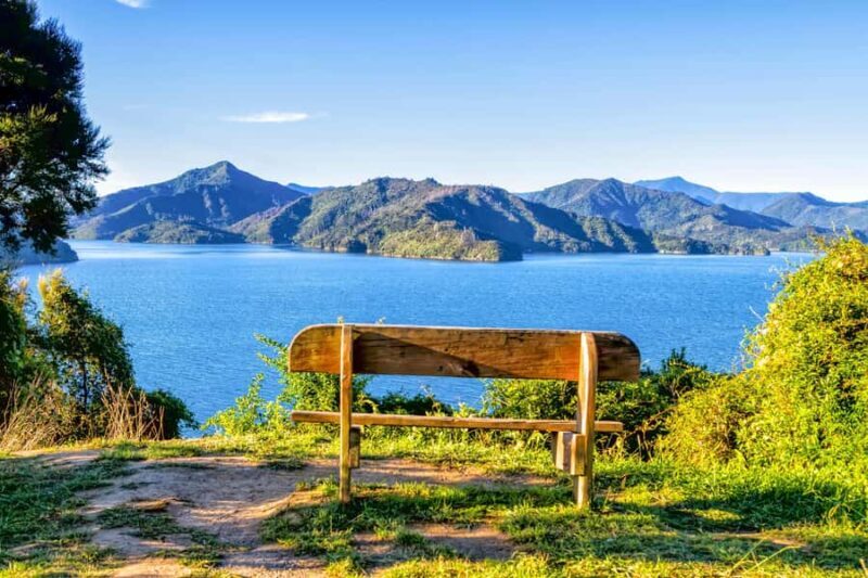 Queen Charlotte Track: Cruise & Self-Guided Hike from Picton - Who Will Love This Tour?
