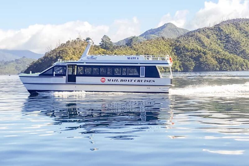 Queen Charlotte Track: Cruise & Self-Guided Hike from Picton - The Sum Up: Is It Worth It?