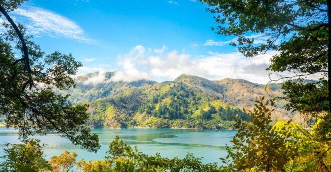 Queen Charlotte Track: Cruise & Self-Guided Hike From Picton - Full Description