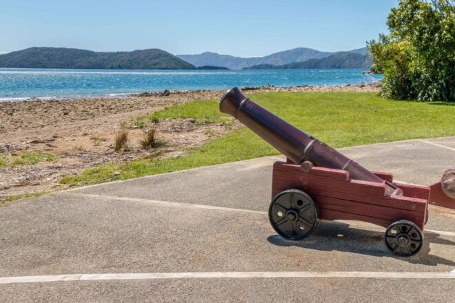 Queen Charlotte Track: Cruise & Self-Guided Hike From Picton - Related Activities