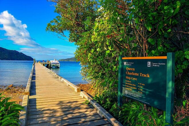 Queen Charlotte Track: Cruise & Self-Guided Hike From Picton - Customer Reviews