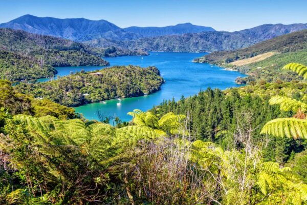 Queen Charlotte Track: Cruise & Self-Guided Hike From Picton - Review 1