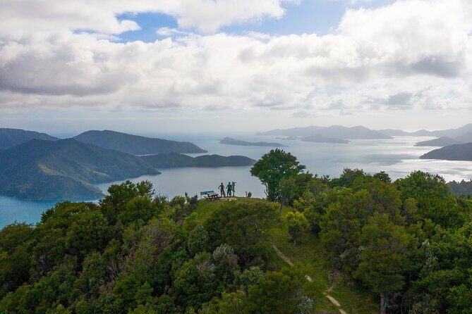 Queen Charlotte Track Self Guided Hike to Eatwells Lookout - Good To Know