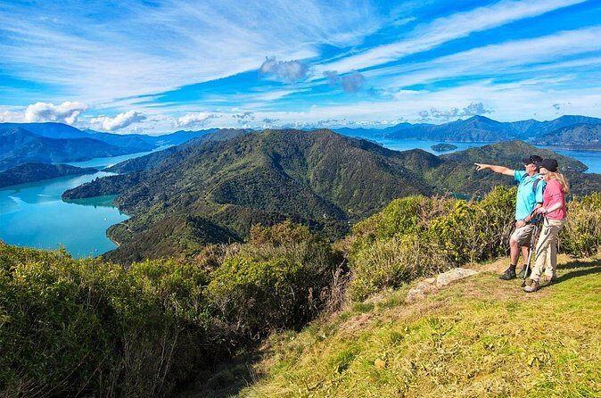 Queen Charlotte Track Self Guided Hike to Eatwells Lookout - The Sum Up