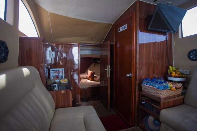 Queen Ruizi 18 - Experience and Flexibility