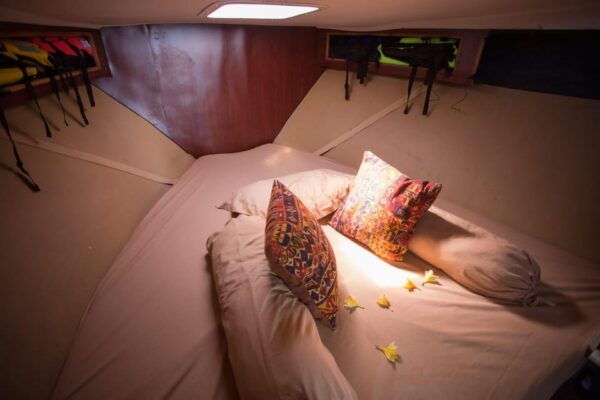 Queen Ruizi 18 - Questions You May Have