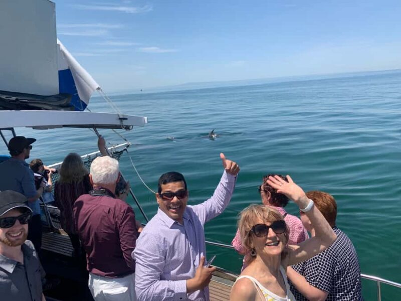 Queenscliff: 1.5hr Harbour Wildlife Sightseeing Cruise Tour - What to Expect from the Queenscliff Wildlife Cruise