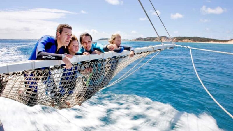 Queenscliff Harbour: 3.5hr Seal & Dolphin Snorkelling Tour - The Real Experience Based on Reviews