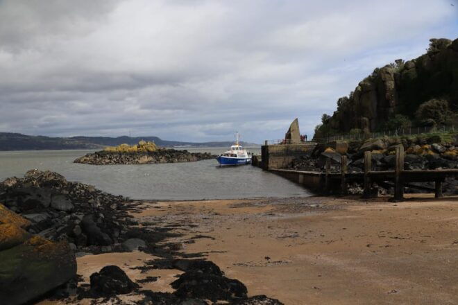 Queensferry: Sightseeing Cruise to Inchcolm Island - Highlights and Wildlife