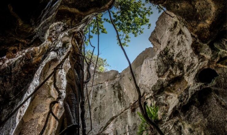 Queensland: 90 Minute Capricorn Caves Explorer Tour - Booking Details