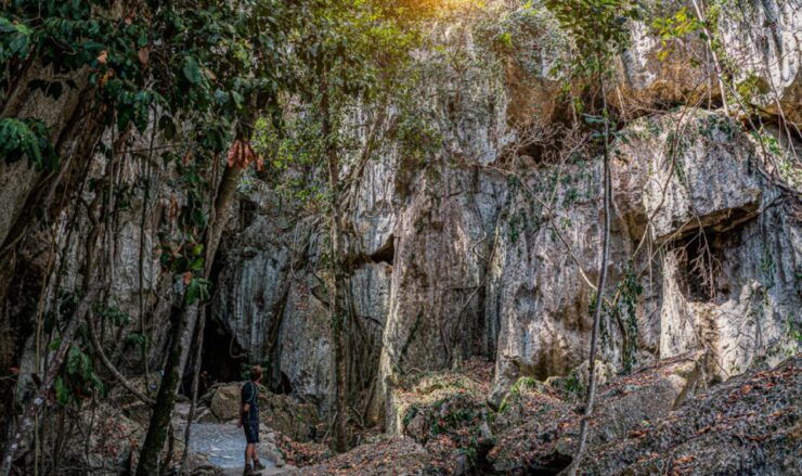 Queensland: 90 Minute Capricorn Caves Explorer Tour - Tour Duration and Availability