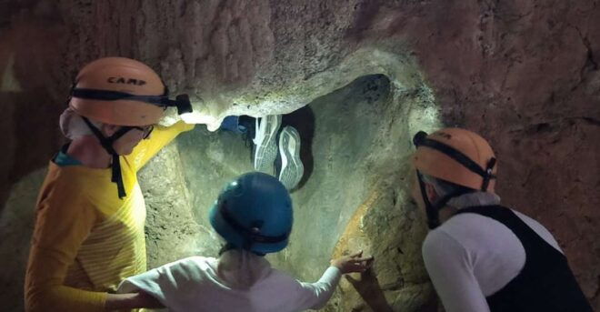 Queensland: 90 Minute Capricorn Caves Explorer Tour - Important Information for Participants