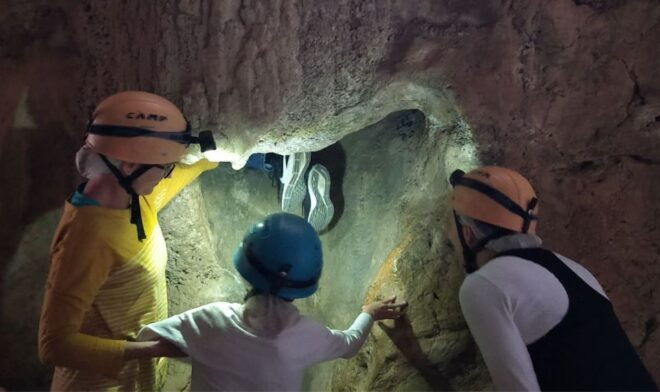 Queensland: 90 Minute Capricorn Caves Explorer Tour - Common Questions
