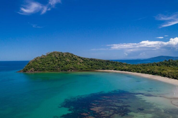 Queensland: Cape Tribulation, Daintree, and Mossman Day Trip - Highlights of the Day Trip