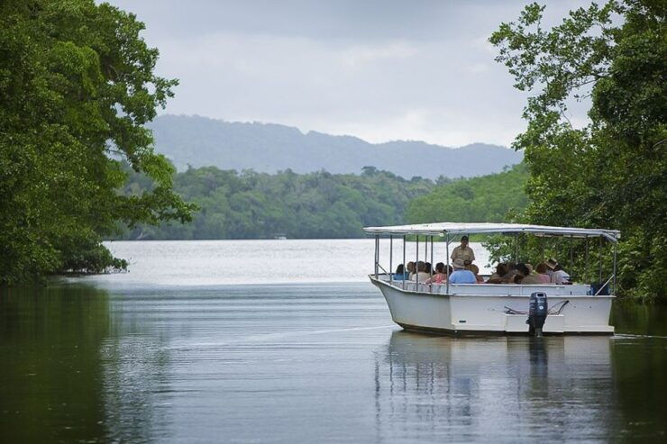Queensland: Cape Tribulation, Daintree, and Mossman Day Trip - Booking Information and Details