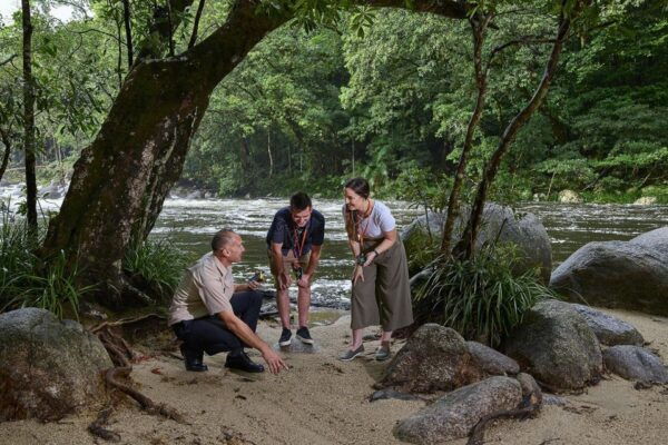 Queensland: Cape Tribulation, Daintree, and Mossman Day Trip - Common Questions