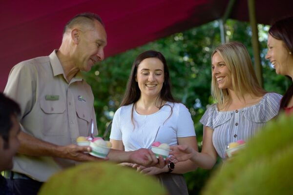 Queensland: Cape Tribulation, Daintree, and Mossman Day Trip - The Sum Up