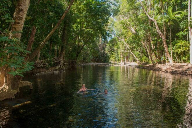 Queensland: Daintree & Cape Tribulation 4WD Tour With Pickup - Customer Reviews and Testimonials