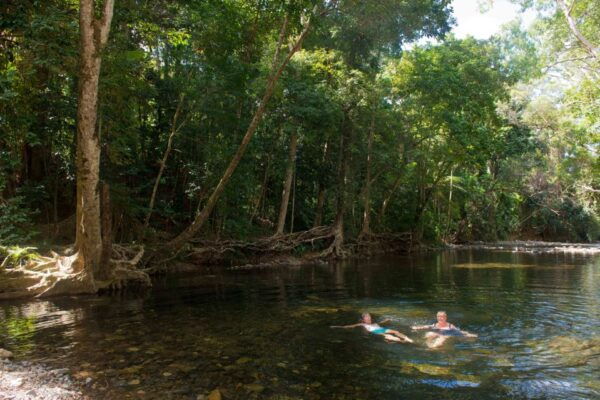 Queensland: Daintree & Cape Tribulation 4WD Tour With Pickup - The Sum Up