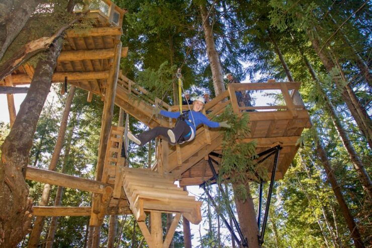 Queenstown: 2-Hour Zipline Tour With 4-Lines - Booking and Duration