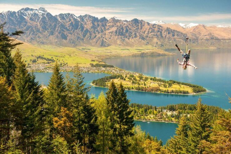 Queenstown: 3-Hour Zipline Adventure With 6-Lines - Zipline Experience