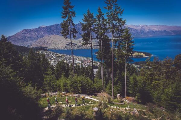 Queenstown: 3-Hour Zipline Adventure With 6-Lines - Customer Reviews