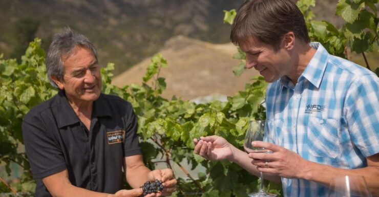 Queenstown: Afternoon Wine Tasting Tour With 3 Wineries - Tour Highlights