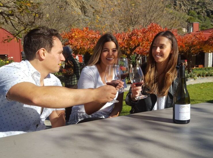Queenstown: Afternoon Wine Tasting Tour With 3 Wineries - Tour Description