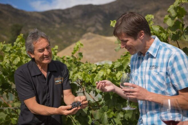 Queenstown: Afternoon Wine Tasting Tour With 3 Wineries - Additional Options