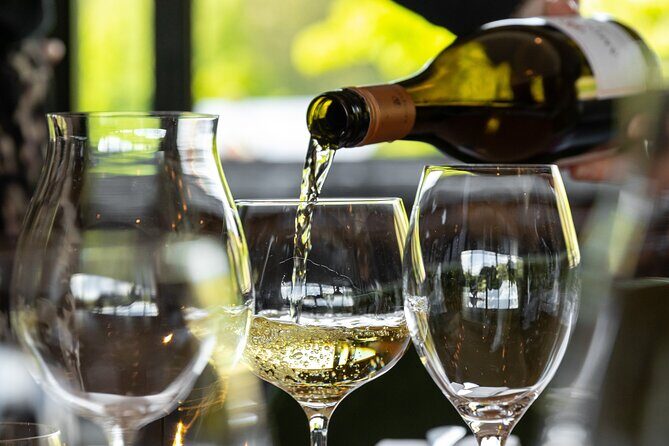 Queenstown Afternoon Wine Tour - Peregrine | Kinross | Amisfield - Who Will Benefit from This Experience?