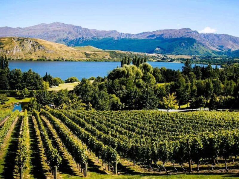 Queenstown, Arrowtown, Gibbston: Flexible Wine Hopper Tours - FAQ