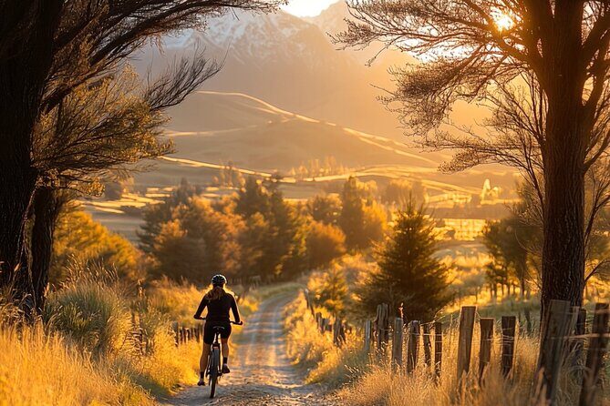 Queenstown Biking Wine Tour - Self-Guided Audio Tour - Diving Into the Itinerary: What to Expect