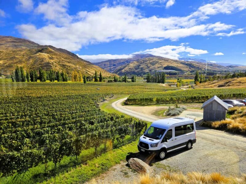 Queenstown: Central Otago Wine Tour - Good To Know