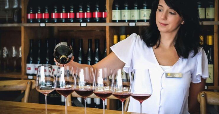 Queenstown: Classic Wine Tour - Experience Highlights