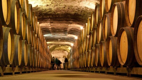 Queenstown: Classic Wine Tour - Explore New Zealands Largest Wine Cave Known for Its Excellent Pinot Noirs