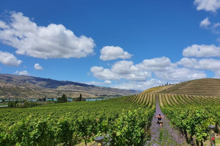 Queenstown: Full-Day Central Otago Food & Wine Tour - Booking Details and Flexibility