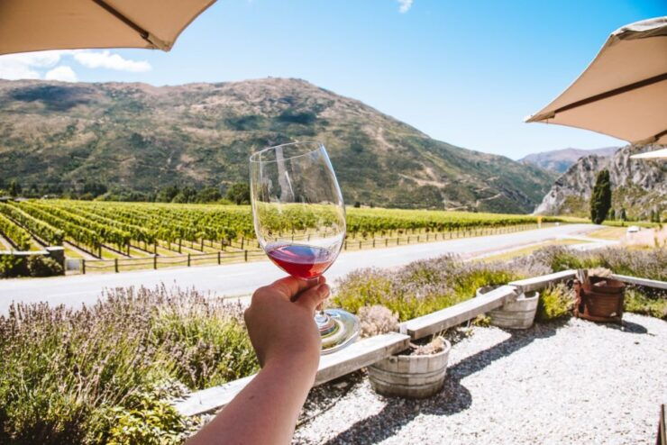 Queenstown: Full-Day Central Otago Food & Wine Tour - Tour Highlights